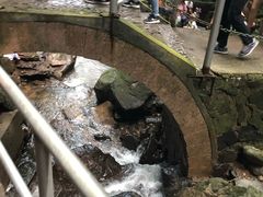 -藏龙百瀑风景区