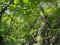 -本溪汤沟绿石谷森林公园