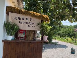 -DORA kids 朵拉儿童摄影花园店