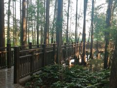 -东湖落雁景区