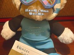 -三亚太阳湾柏悦酒店