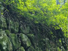 -会稽山峡洞漂流-上青古道