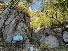 -大岭沟猕猴桃谷风景区