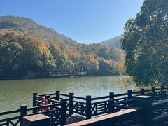 -白马涧龙池景区