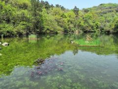 -天目湖山水园
