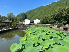 -荷塘味道(水长城店)
