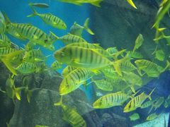 -福州罗源湾海洋世界旅游区