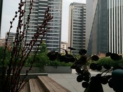 -凤凰湘语·湘粤鲜融(浦东旗舰店)