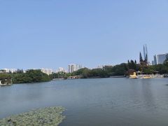 -荔枝公园(福田区)