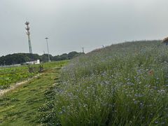 -嘉北郊野公园