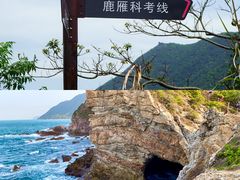 -杨梅坑