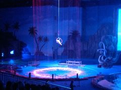 -华夏文旅海洋公园