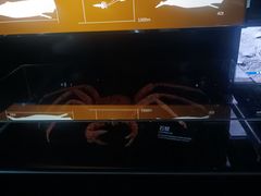 -同济大学四平路校区深海探索馆