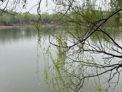 -北坞公园