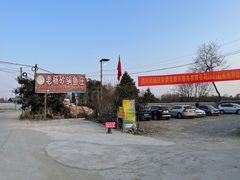 有专门的停车区-老杨砂锅鱼庄