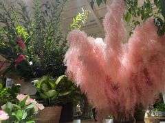 -春暖花开(西溪店)