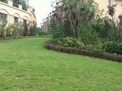 -天鹅湖生态旅游风景区