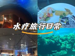 -海棠湾洲际-涛·海底餐厅·美人鱼·自助餐·海底隧道