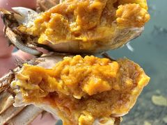 -小陆莲花蟹园农家乐(莲花岛店)