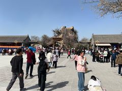 -大槐树寻根祭祖园