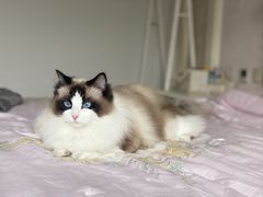 -贝康宠物医院·犬猫全科·小动物特色诊疗中心(东环路店)