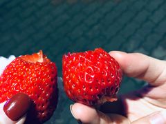 -星伦多自助料理·涮烤一体(嘉兴八佰伴店)