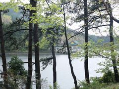 -庐山风景区花径公园