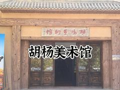 -金塔沙漠胡杨林景区