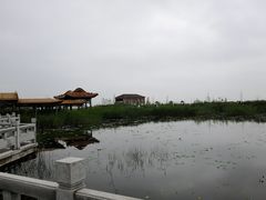 -哈素海