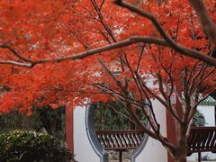 -中山公园