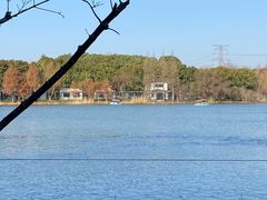 -昆山城市生态森林公园