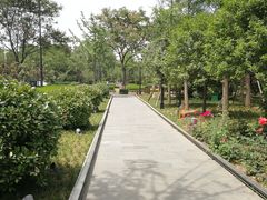 -唐城墙遗址公园