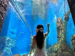 -哈尔滨波塞冬海底世界