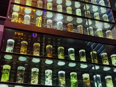 -广东中医药博物馆