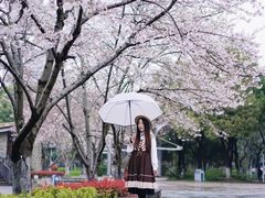 -玉山公园