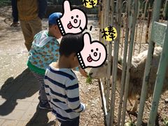 -1982农场