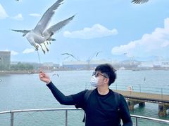 -海驴岛(荣成市)