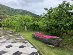 -乌石塘景区