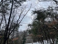 -紫金山山顶公园
