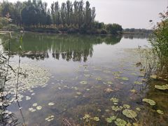 -马家湾湿地公园