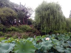-丝绸小镇荻港古村