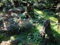 -深圳市中科院仙湖植物园