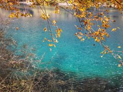 -叠溪松坪沟景区