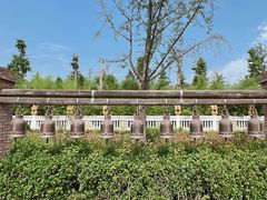 -洛阳白马寺