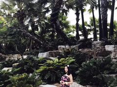 -东芭乐园