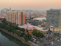 -龙的酒楼·手工早茶·顺德菜(近良路店)