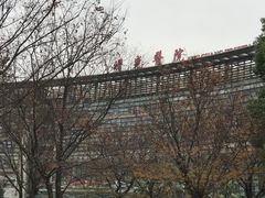 -上海中医药大学附属曙光医院(东部)