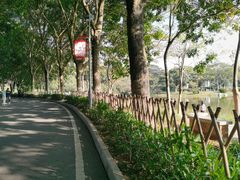 -东莞植物园