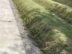 -云锦路(地铁站)