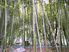 -包公祠